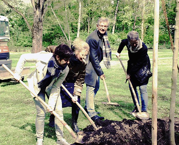 Sigi Hagl, Uli Thalhammer, Dr. Thomas Keyßner und Hedwig Borgmann im Stadtpark beim Pflanzen eines Baumes (Spitzahorn); alle mit Schaufeln in den Händen.