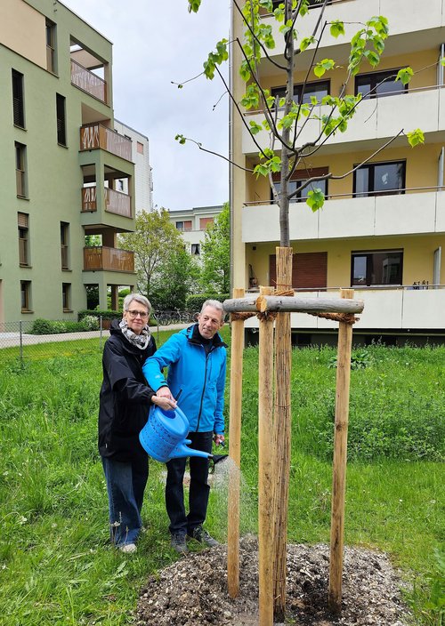 Hedwig Borgmann und Willi Forster gießen ihren frisch gepflanzten Baum