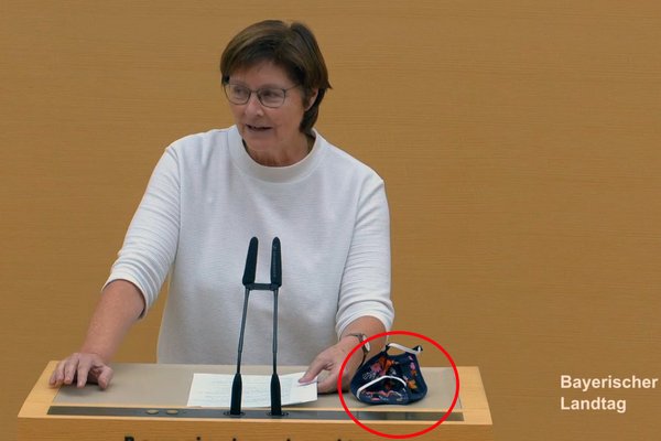 Rosi Steinberger im Bayerischen Landtag