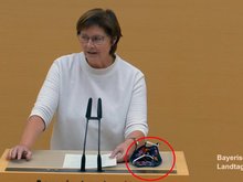 Rosi Steinberger im Bayerischen Landtag