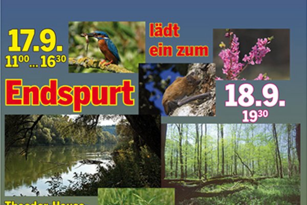 Einladung zum Endspurt für die Isarau und die Flutmulde - gegen die Westtangente am 17.9. als Radfahrt zur Erkundung der Trasse und am 18.9. ab 19 Uhr 30 in der Insel als Informationsveranstaltung