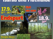 Einladung zum Endspurt für die Isarau und die Flutmulde - gegen die Westtangente am 17.9. als Radfahrt zur Erkundung der Trasse und am 18.9. ab 19 Uhr 30 in der Insel als Informationsveranstaltung