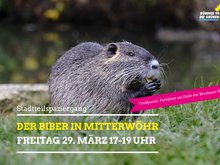 "Der Biber in Mitterwöhr"-Bild mit knabberndem Biber in der Natur
