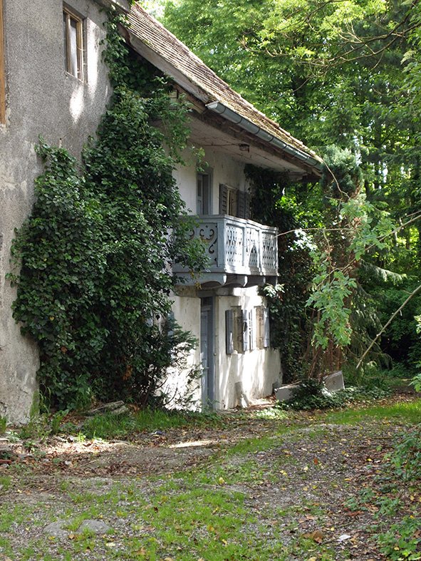 Die Karlschwaige - unbekannte Idylle mitten in der Stadt