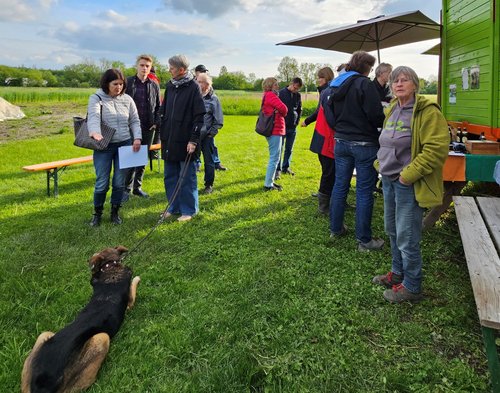 Menschengruppe mit Hund neben einem Sonnenschirm und einer Holzhütte