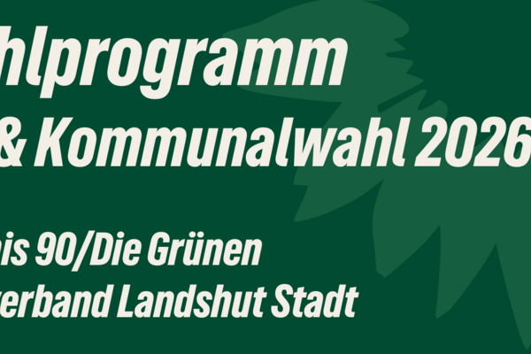Das Wahlprogramm für 2026 zum Herunterladen als PDF-Datei