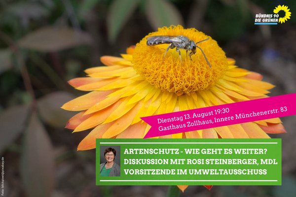 Artenschutz - Wie geht es weiter? mit Rosi Steinberger, MdL am Dienstag 13. August um 19:30 im Gasthaus Zollhaus, Innere Münchener Straße 83, 84036 Landshut