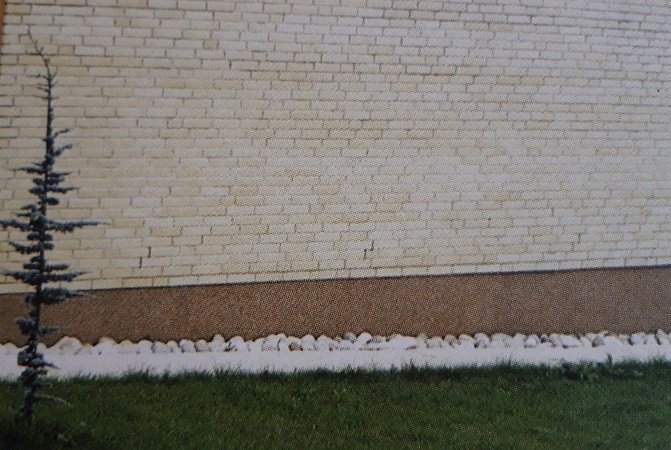 eintönige Steinmauer mit Kiesweg davor und spärlicher Rasen mit einem dünnen Nadelbäumchen links daneben - ein trister, abgeschirmter Vorgarten