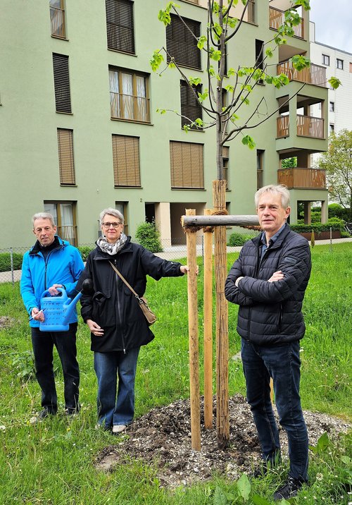 Willi Forster, Hedwig Bormann und Uli Theising stehen neben ihrem frisch gepflanzten Baum