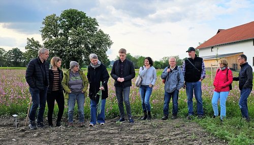 viele Menschen stehen auf einer Fläche zwischen Ackerboden und Wiese