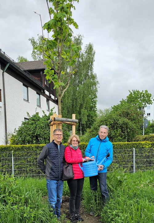 Otto Haas, Iris Haas und Willi Forster stehen vor ihrem frisch gepflanzten Baum